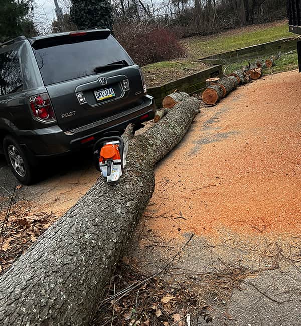 Emergency Storm Clean-Ups