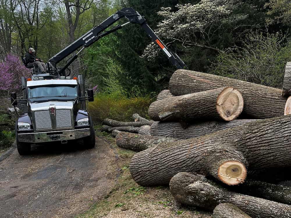 Commercial Tree Services