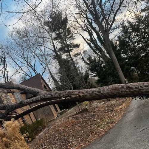 Emergency Storm Clean-Ups
