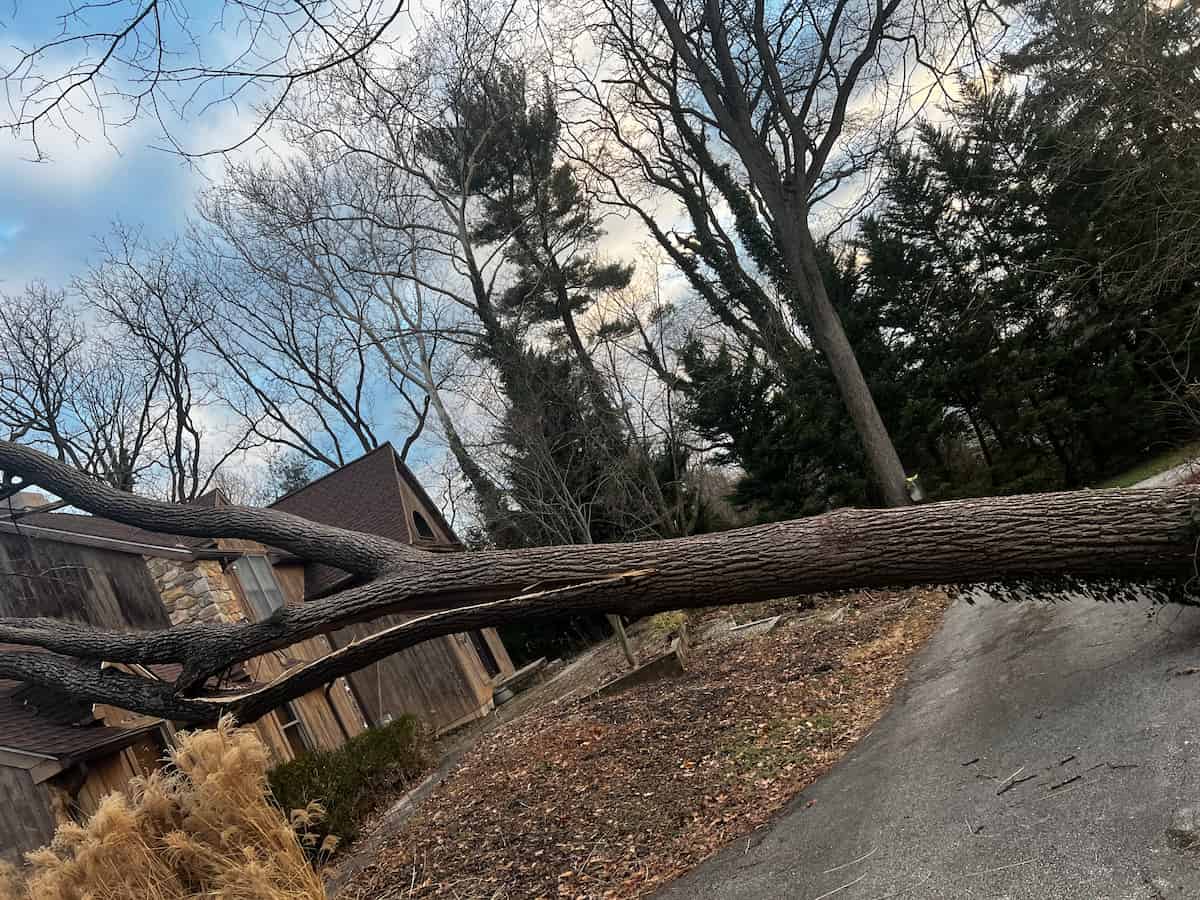 Emergency Storm Clean-Ups