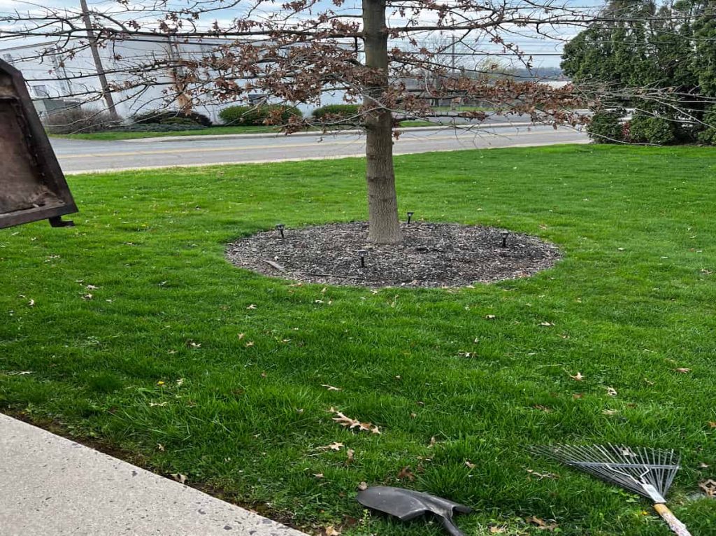 Fall Clean Ups