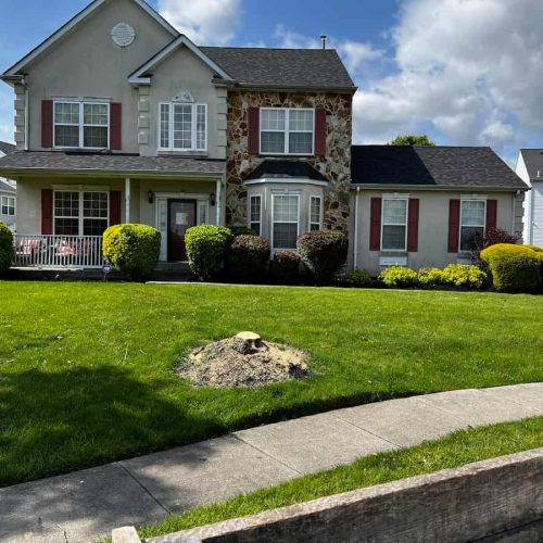 Landscaping