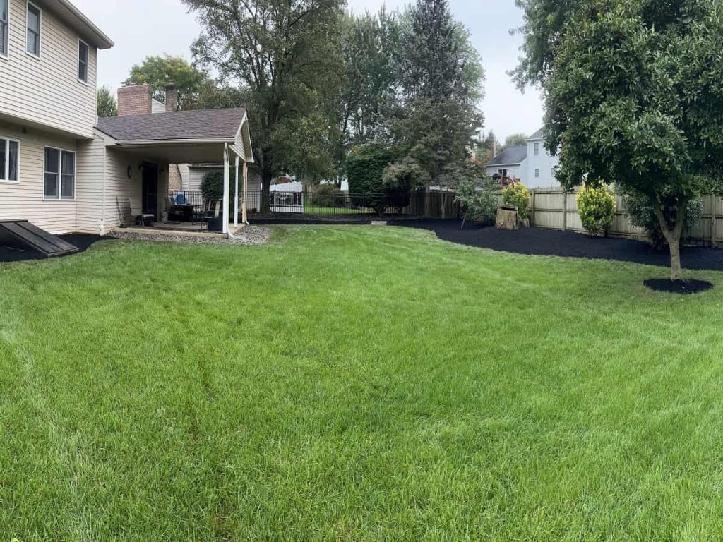 Landscaping