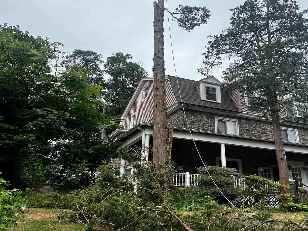 Residential Tree Services
