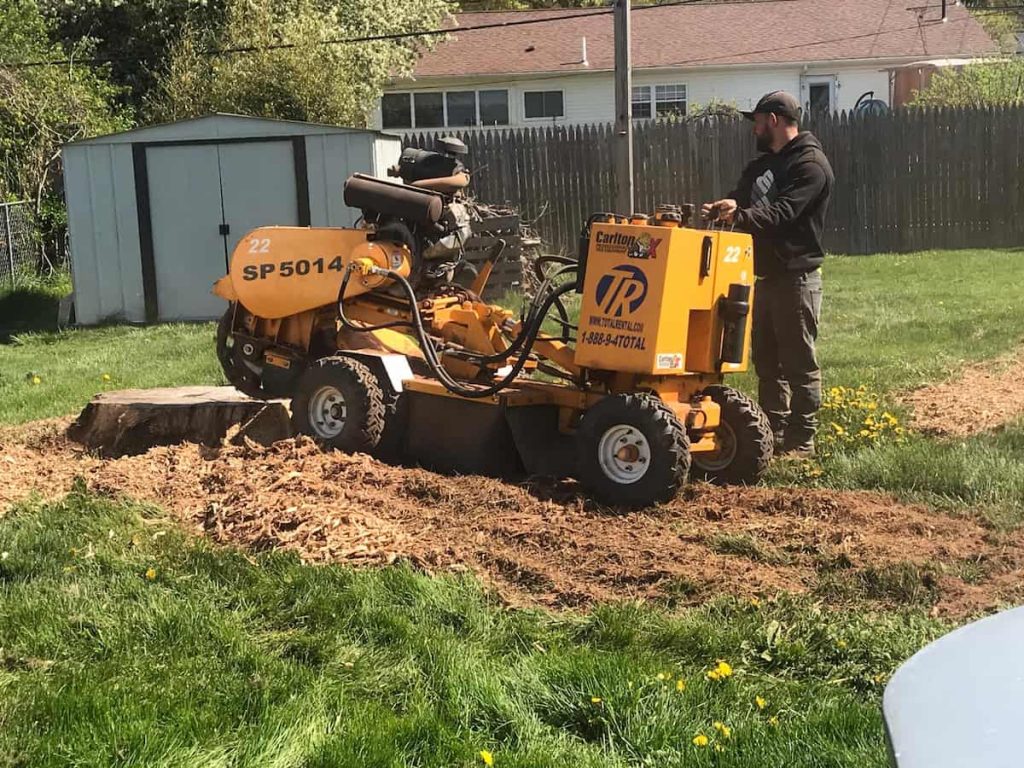 Stump Grinding