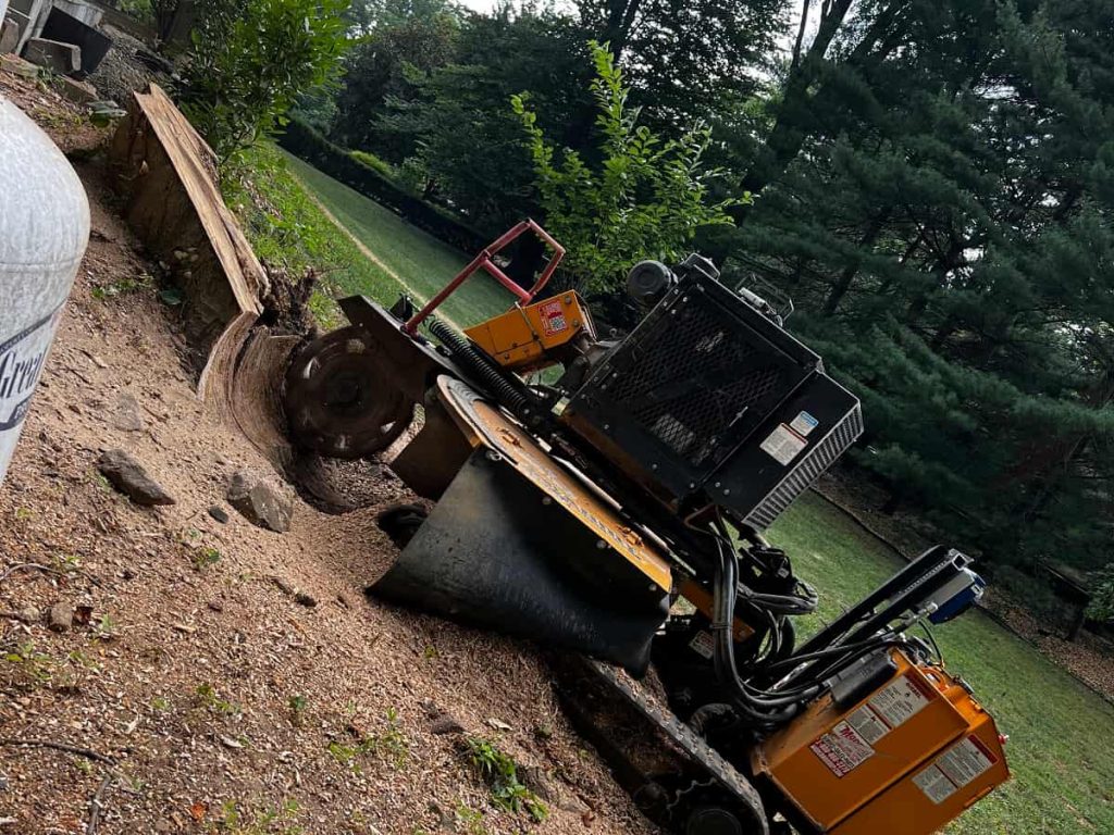 Stump Grinding