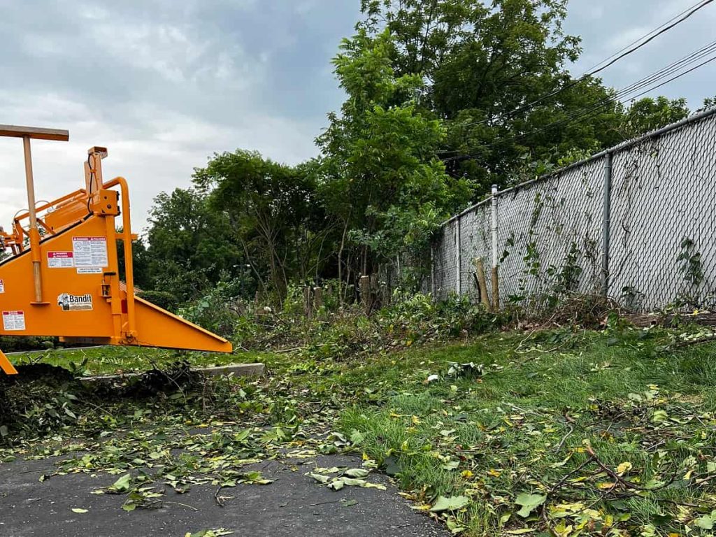 Trust DA Tree Services for efficient wood chipping & disposal services. Enhance your property's safety and aesthetics with our professional tree care solutions.