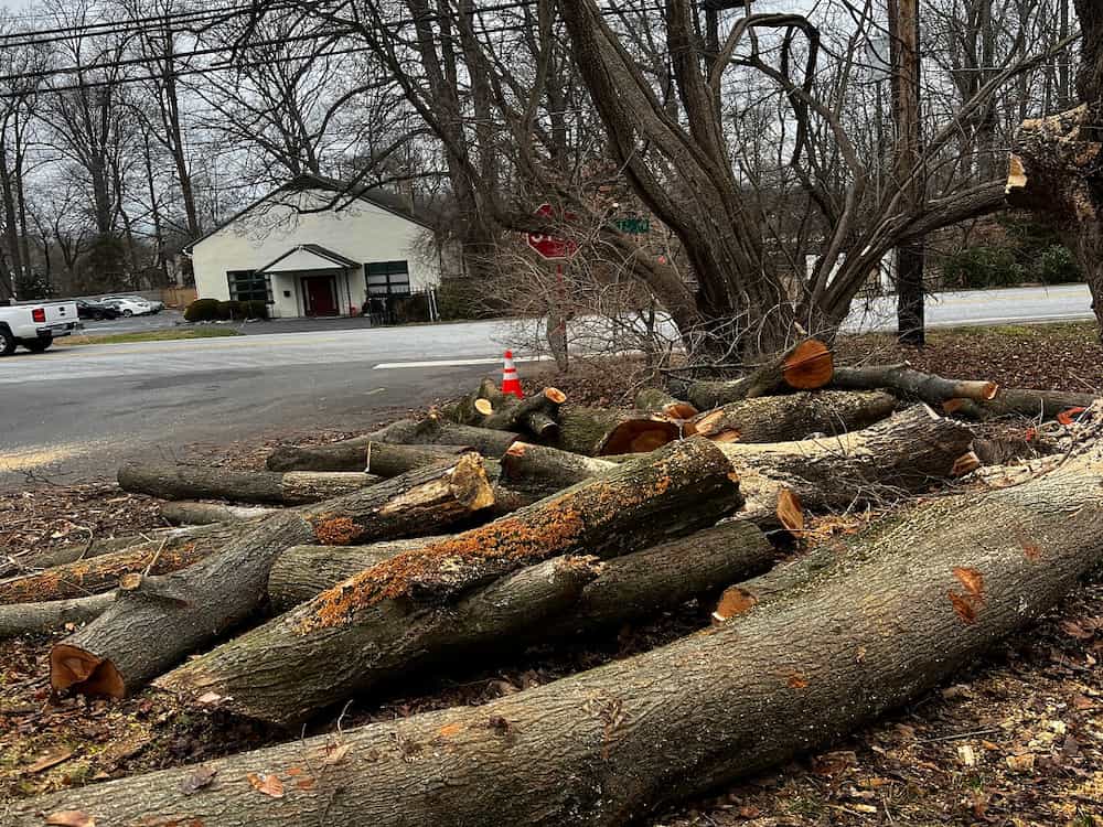 Wood Chipping & Disposal